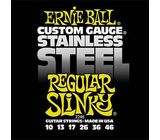 Ernie Ball 2246 Stainless Regular