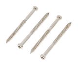 Göldo Screws for Bass Pickups SC