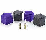 Auralex Acoustics Roominators D 36-DST Purple