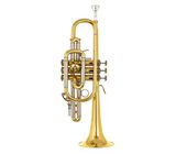 Bach 181L Cornet