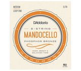 Daddario EJ78 Mandocello