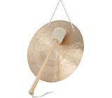 Asian Sound Tamtam TT-30 P