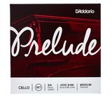 Daddario J1010-3/4M Prelude Cello 3/4