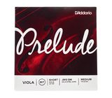 Daddario J910-SM Prelude Viola