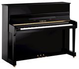 Yamaha P 116 M PE Upright Piano