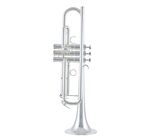 Schilke S22- HD Bb-Trumpet