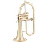Adams F1 M Custom 045 150 SL