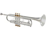 Kühnl & Hoyer Spirit MAW Bb-Trumpet RL silv.