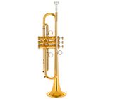 Kühnl & Hoyer Universal Bb-Trumpet 110 14