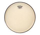 Remo 11" Symmetry Nuskyn D2