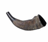 Thomann Water Buffalo Horn