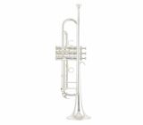 Yamaha YTR-8335GS 04 Trumpet