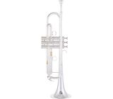 Yamaha YTR-8335RS 04 Trumpet