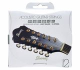 Ibanez IACS12C Acoustic 12 String Set