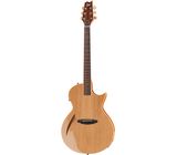 ESP LTD TL-6 NAT