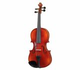 Roth & Junius RJV-A Antiqued Violin Set 1/2