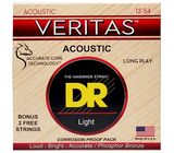DR Strings Veritas Acoustic VTA-12