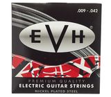 Evh String Set Live 009-042