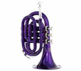 Thomann TR 25 Bb-Pocket Trumpet Purple