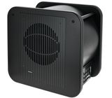 Genelec 7380 AP