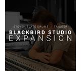 Steven Slate Audio Blackbird Studio SSD5 Exp.