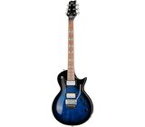 ESP LTD AS 1FRFM BLKAQSB