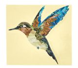 Jockomo Hummingbird Inlay Sticker