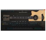 Ample Sound Ample Guitar Twelve III
