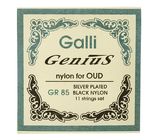 Galli Strings GR85 Oud Strings Set
