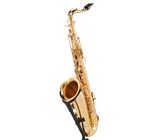 Schagerl SuperiorPro Tenor Sax T-2L