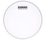 Evans 08" UV2 Coated Tom