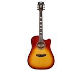 DAngelico Premier Bowery Iced Tea Burst