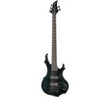 ESP LTD F-1005 STBLK