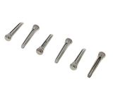 Daddario PS13 Bridge Pin Set Titanium