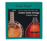 Gold Tone BTS Guitar Banjitar Strings