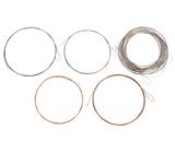 Thomann Nataraj Esraj Strings Set