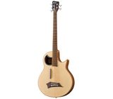 Warwick Alien 5 NT