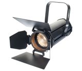 Showtec ACT Fresnel 20 WW