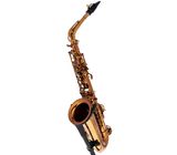 Rampone & Cazzani Performance Line Alto Sax