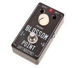 Surfy Industries Blossom Point Boost