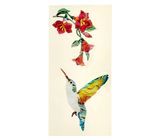 Jockomo Hummingbirds & Flowers