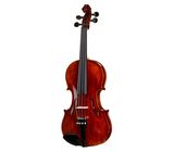 Roth & Junius Europe Antiqued Violin Set 3/4