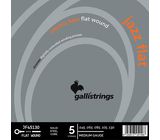 Galli Strings JF45130-L