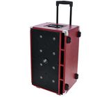 Phil Jones Compact C8 Bass Cabinet RD
