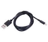 Ansmann Lightning/ USB-A 100