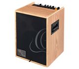 Ortega CONE-ASH Acoustic Amp