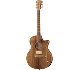 Cole Clark TL2EC-BLBL-HUM