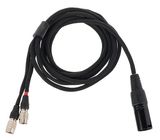 Dan Clark Audio VIVO Cable ETHER/ AEON XLR