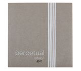 Pirastro Perpetual Edit. Cello C ZMT