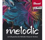 Beat Magazin Melodic